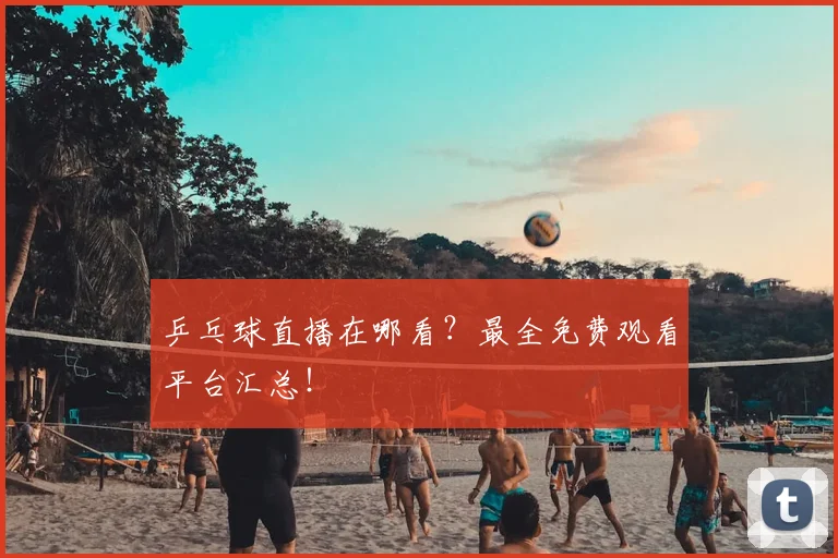 乒乓球直播在哪看？最全免费观看平台汇总！